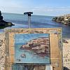 Морской пейзаж Море и скалы